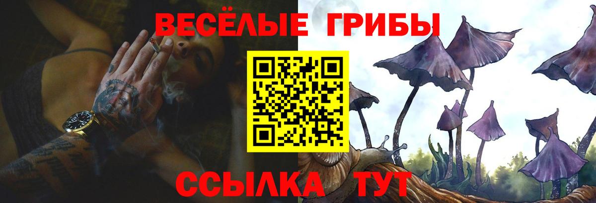 Луховицы  Галлюциногенные грибы Psilocybe  что такое наркотик  Вход с VPN 